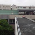 IMG_5312.JPG