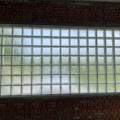 S__247889932-min
