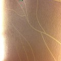 S__2736389