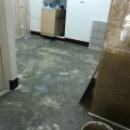 IMG_2794-min
