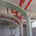 IMG_4270